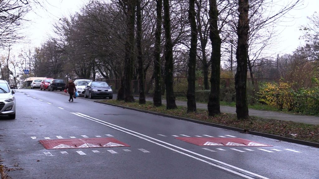 W miejscu, gdzie ma powstać parking w katowickiej dzielnicy Wełnowiec jest 16 topól, a będzie 13 miejsc parkingowych