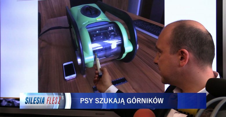 Wojsko, psy, roboty, ratownicy górniczy. Coraz większe siły biorą udział w akcji w Zofiówce
