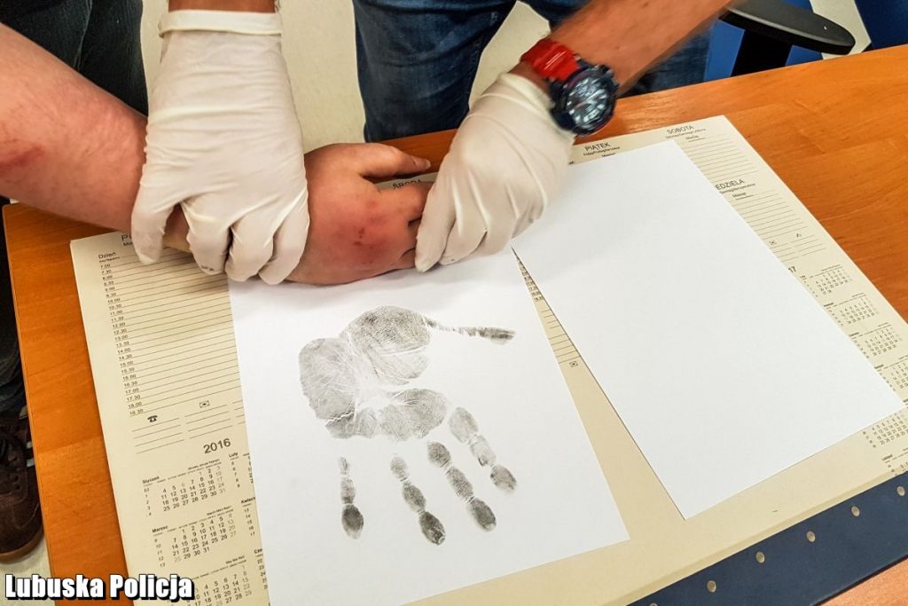 Atak nożownika w Kożuchowie. Napastnik zdołał zranić dwie kobiety. Ale ofiar ataku nożownika w Kożuchowie mogło być o wiele więcej! (policja.pl)