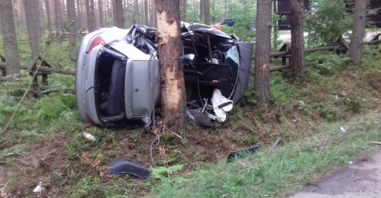 Wyprzedzała i uderzyła w drzewo. Kierująca audi i pasażerka zginęły na miejscu (fot.Policja Podkarpacka)