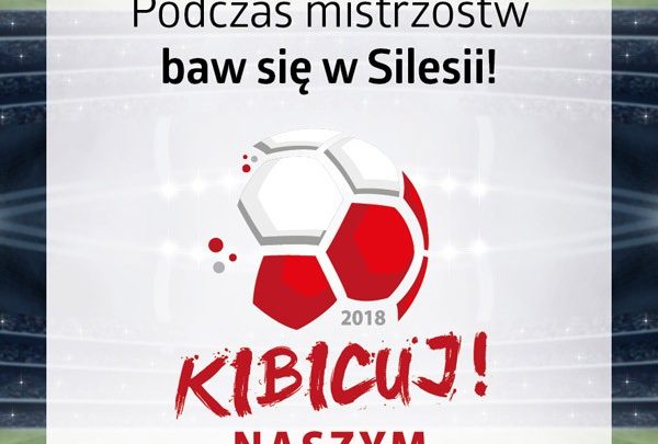 Poczuj mistrzowski klimat w Silesia City Center (fot.SCC)