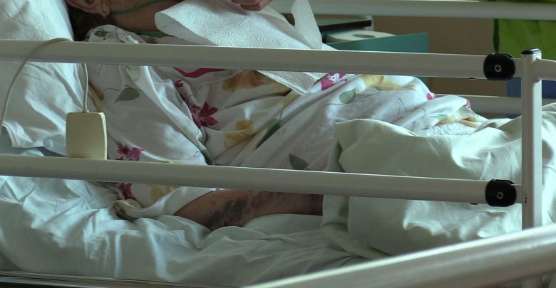 GIS ostrzega przed bąblowicą. Trudno ją zdiagnozować, a jest bardzo niebezpieczna. Jak jej uniknąć, jakie są objawy choroby?