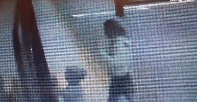 Częstochowa: Dziecko wpadło w szczelinę między odjeżdżającym pociągiem, a peronem. Jest akt oskarżenia dla matki! (fot.Śląska Policja)