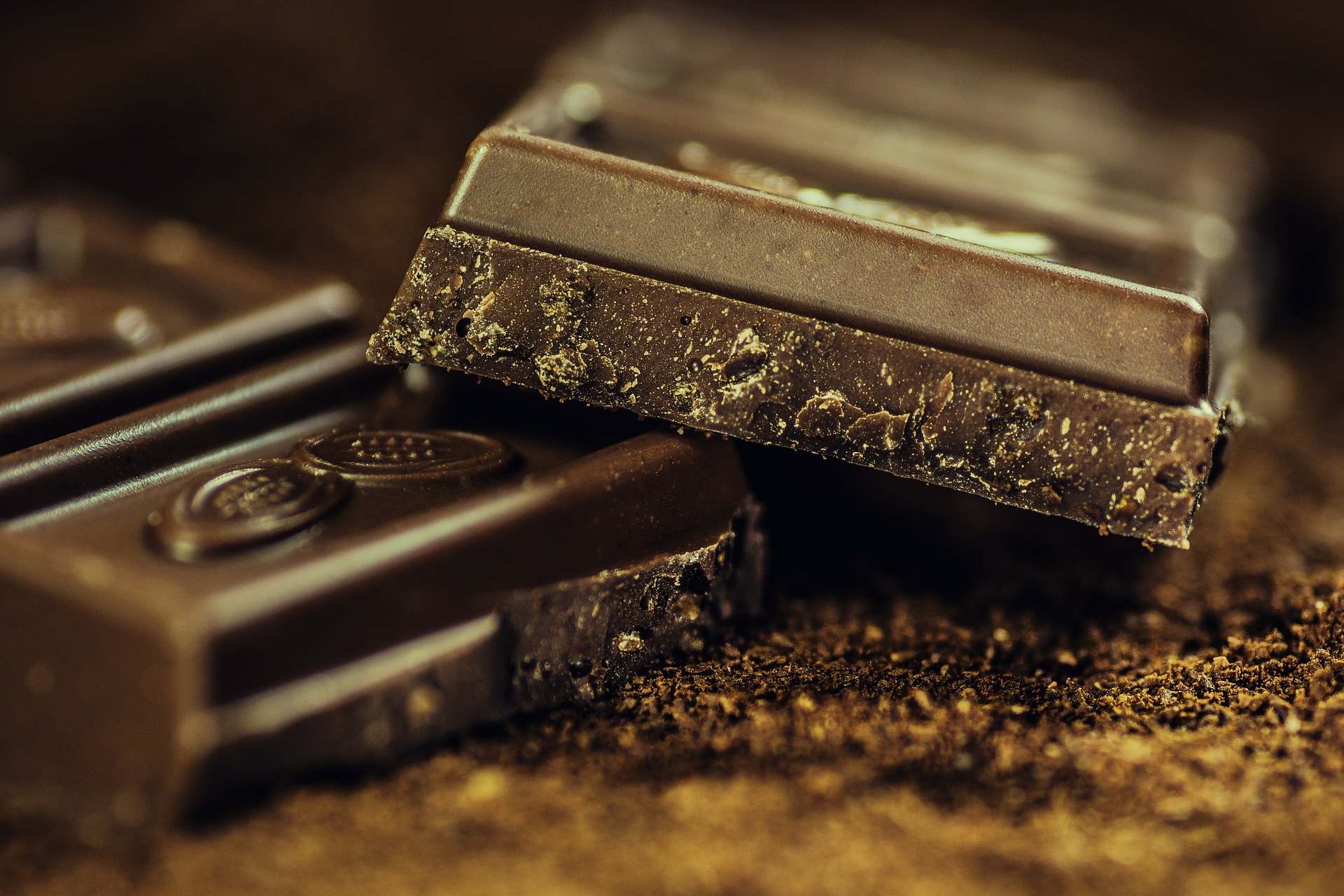 7 produktów, które są szkodliwe dla kotów - 2 (fot. pixabay.com)