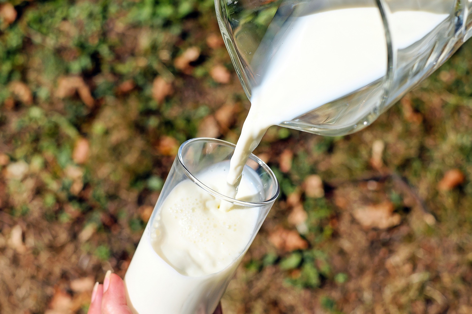 Zdrowa dieta MITY - 5 (fot. pixabay.com)
