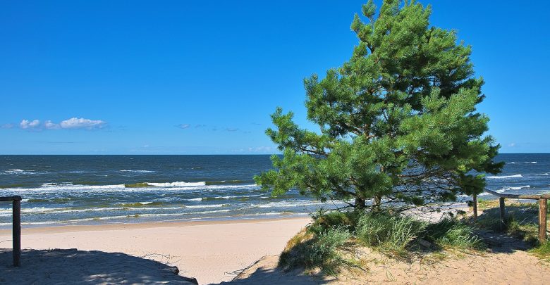 Do Polski zbliża się fala upałów! Apel MSWiA (fot.poglądowe/www.pixabay.com)