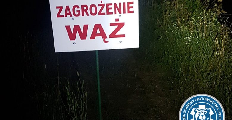 Zakończono poszukiwania pytona znad Wisły! (fot. Animal Rescue Poland)