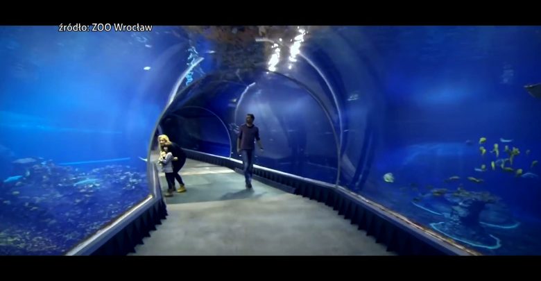 Oceanarium w Rudzie Śląskiej nie powstanie. Miasto musiało unieważnić konkurs na zagospodarowanie działki znajdującej się przy ulicy 1 Maja