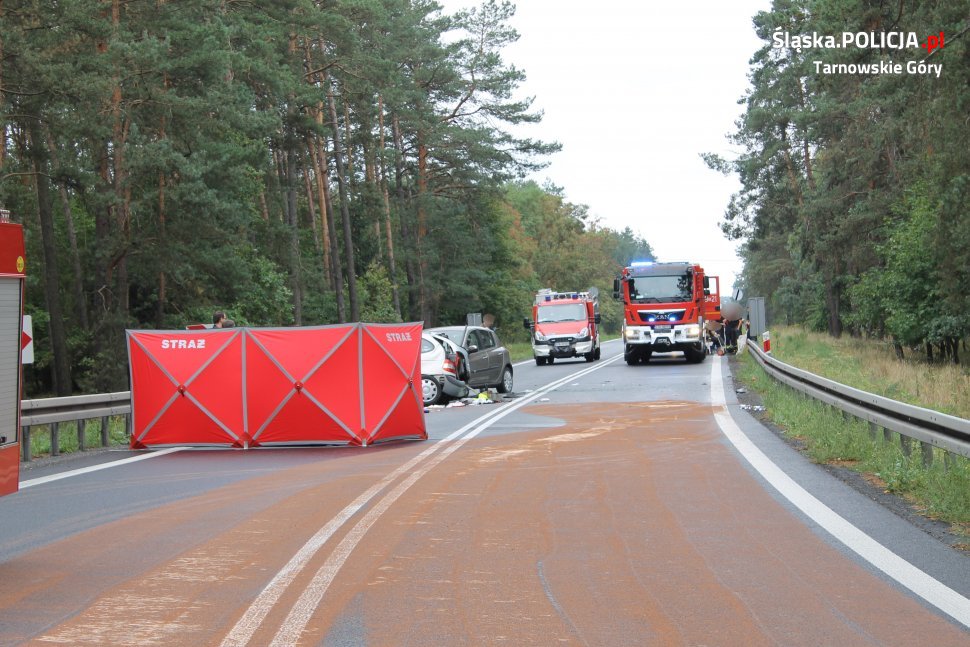 Koszmarny wypadek w miejscowości Koty pod Tarnowskimi Górami. W zderzeniu dwóch osobowych Renault, zginął kierowca jednego z samochodów (fot.KPP Tarnowskie Góry)