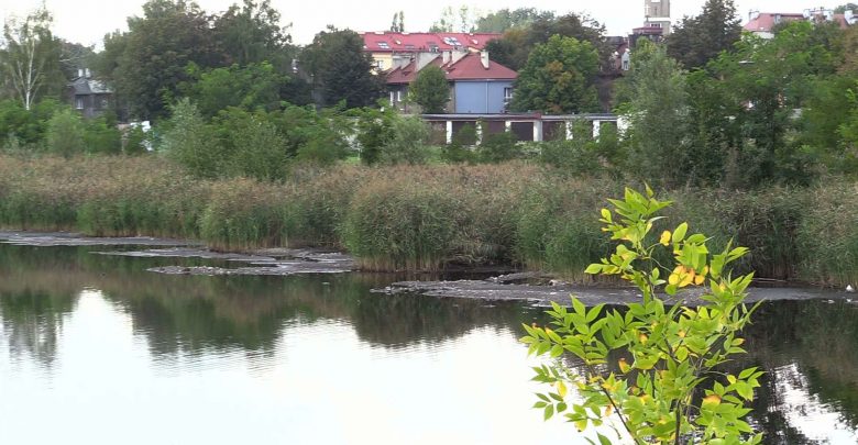 Szacuje się, że w Kalinie zalega ponad 20 tys. metrów sześciennych osadów dennych. Zanieczyszczona jest woda oraz ziemia wokół stawu