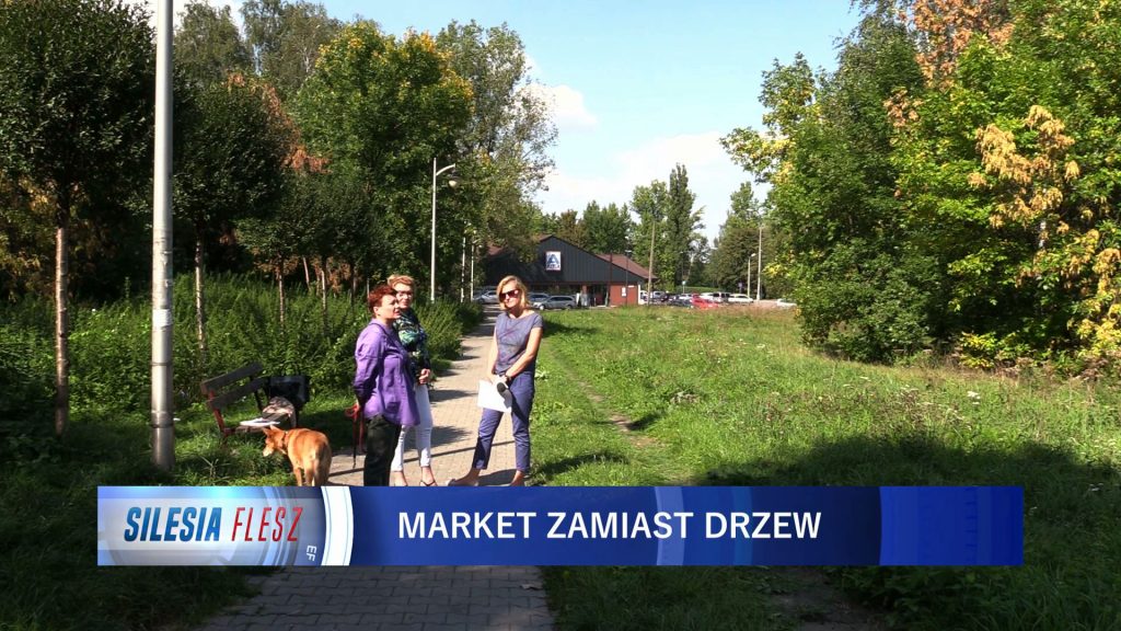 Mysłowice: Ktoś wprowadził radnych w błąd? Na działce w Wielkiej Skotnicy ma powstać market
