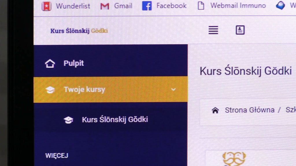 To może być HIT! Rusza internetowy kurs ślonskij godki!