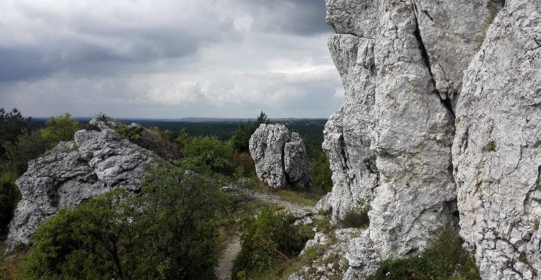 22 września rusza Juromania - pierwsze Święto Szlaku Orlich Gniazd na Jurze Krakowsko-Częstochowskiej (fot.Wojciech Żegolewski)