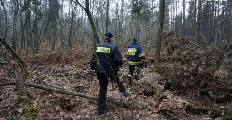Tragedia w gminie Jemielnica: Martwa grzybiarka znaleziona w lesie!