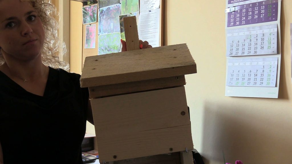 Jaworzno idzie na wojnę z komarami i w tym celu zatrudnia nietoperze. Wkrótce w mieście zostaną powieszone budki lęgowe dla tych ssaków