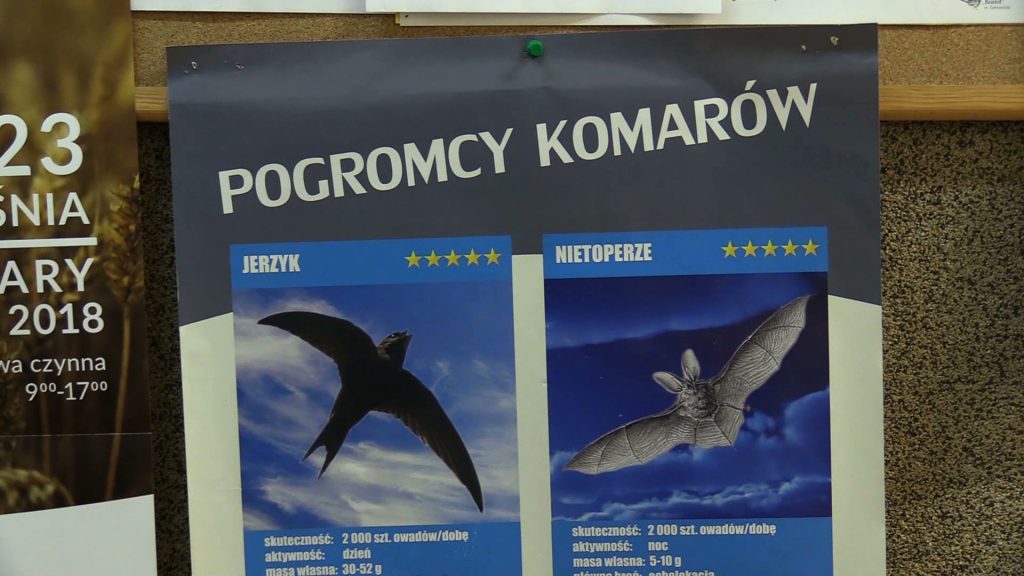 Jaworzno idzie na wojnę z komarami i w tym celu zatrudnia nietoperze. Wkrótce w mieście zostaną powieszone budki lęgowe dla tych ssaków