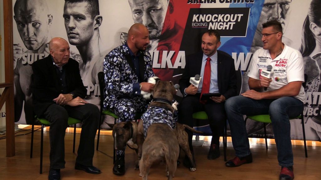Szpilka vs. Wach, czyli bokserski łomot w Gliwicach. Gala KnockOut Boxing Night już 10 listopada w Arena Gliwice