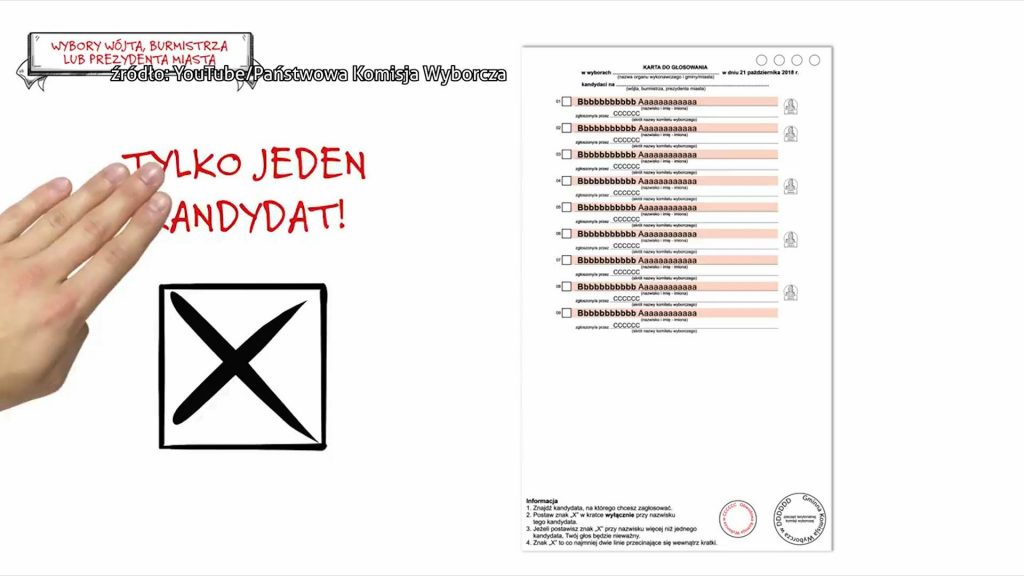 Wybory samorządowe 2018 już 21 października. Jak głosować?