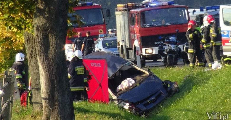 Śmiertelny wypadek w Ochabach. Z drogi wyleciała osobowa Toyota, którą jechała kobieta i dwójka dzieci (fot.Michał Fielek, ViFi.pl)