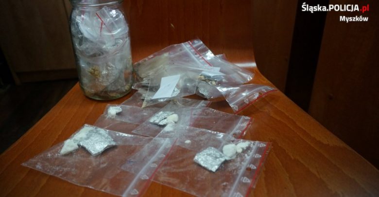 Śląskie: Pies wytropił narkotyki w piwnicy 22-latka. Można z nich zrobić 320 działek (fot.Śląska Policja)
