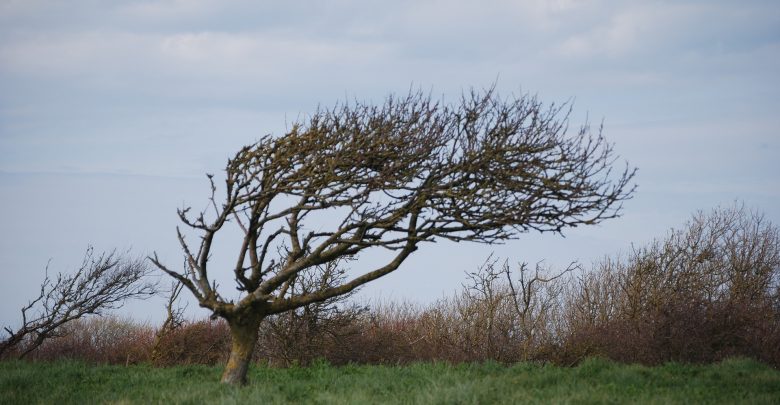 Silny wiatr w woj.śląskim nie odpuszcza! IMGW wydał OSTRZEŻENIE METEO www.pixabay.com