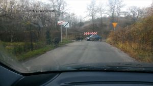 Problem z dzikami ma coraz więcej śląskich miast. Zwierzęta coraz częściej opuszczają las i w pobliżu zabudowań szukają pożywienia