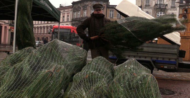 Do akcji przyłączyły się Lasy Państwowe, które każdej osobie, która oddała krew sprezentowała taką, świąteczną choinkę