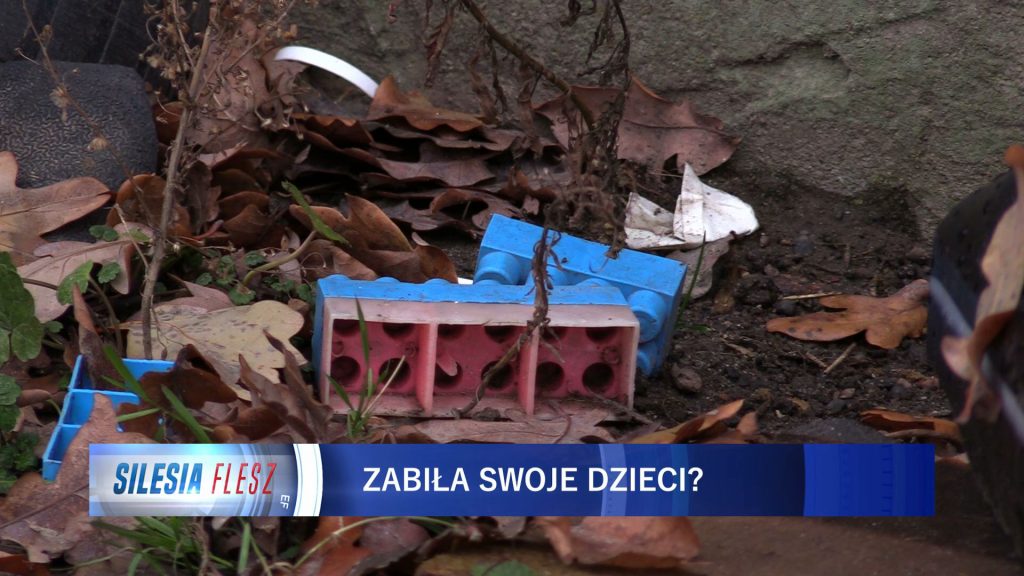 Według ustaleń prokuratury dziewczynka miała urodzić się w domu, 30 listopada. Po narodzinach Aleksandra J. miała włożyć dziecko do reklamówki, a następnie ją zawiązać.