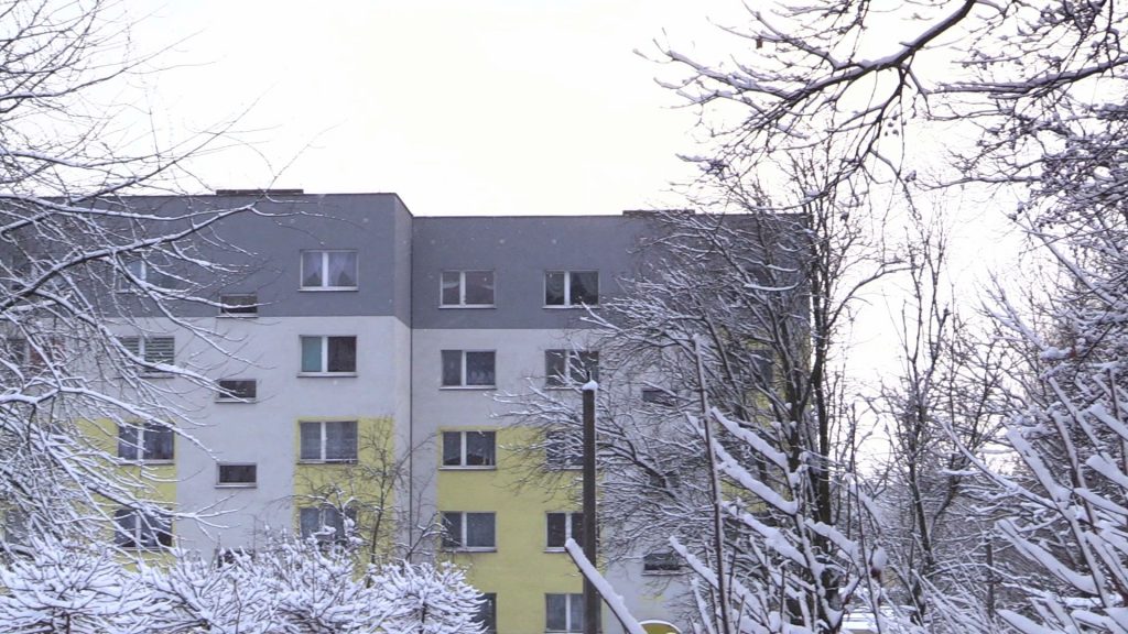 Urzędnicy z Bytomia ostrzegają zarówno mieszkańców samego Bytomia jak i Tarnowskich Gór przed planowanym właśnie na 5 stycznia odstrzałem dzików