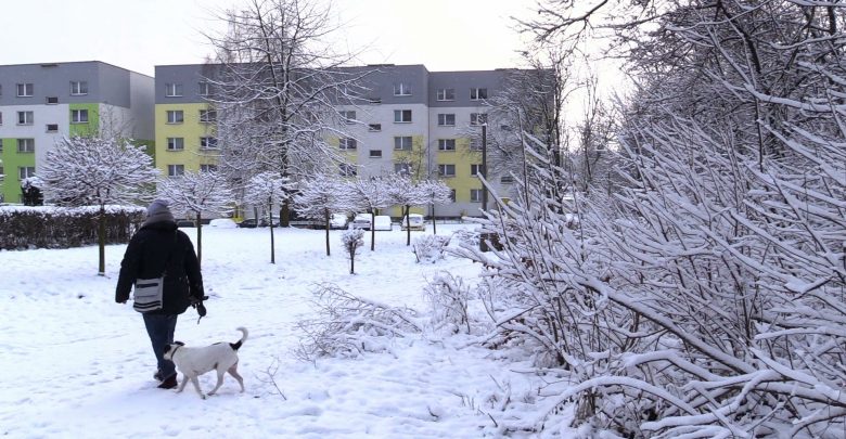 Polowaniem objęty zostanie kompleks leśny na południe od ul. Długiej w Tarnowskich Górach do ul. Suchogórskiej w Bytomiu