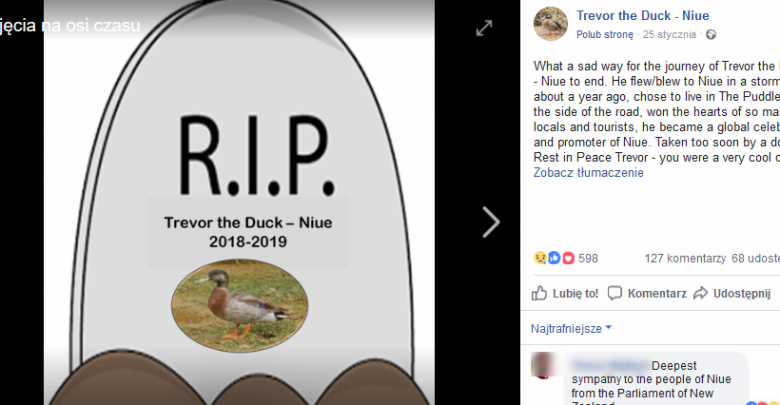 Pożegnanie Trevora (fot. facebook Trevor the Duck Niue)