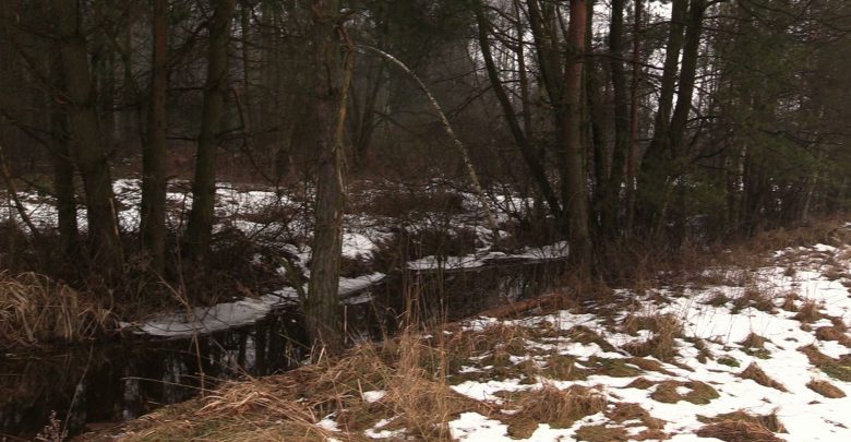Jeszcze tereny zielone, wkrótce być może centrum logistyczno-magazynowe. Zmiana przeznaczenia terenu leżącego w gminie Mierzęcice budzi wśród niektórych kontrowersje