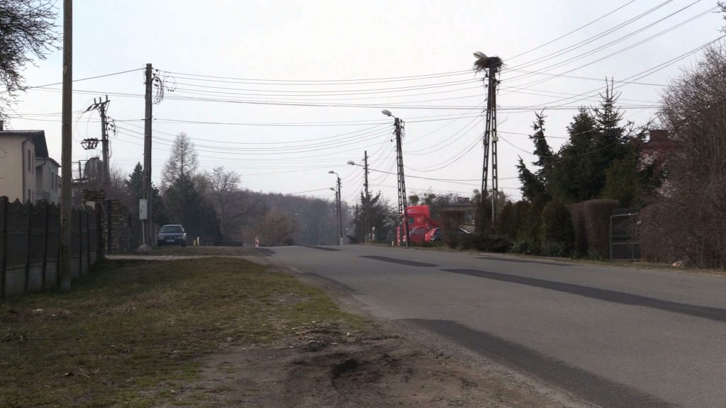 Tauron buduje specjalne platformy. Bociany zbudują wiosną na nich gniazda