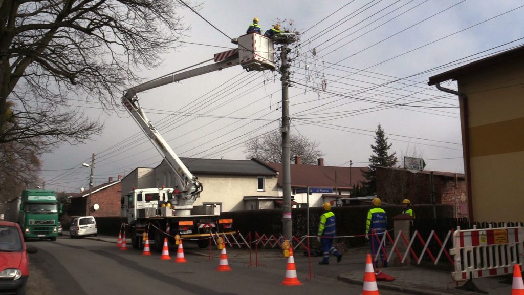 Tauron buduje specjalne platformy. Bociany zbudują wiosną na nich gniazda