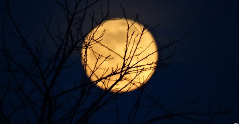 Śnieżny Superksiężyc pojawił się na niebie dzisiaj, 19 lutego. Księżyc w pełni można podziwiać od godz. 15:52 aż do jego zachodu, o godzinie 06:58 w środę, 20 lutego. fot:Tomasz Pestka photography