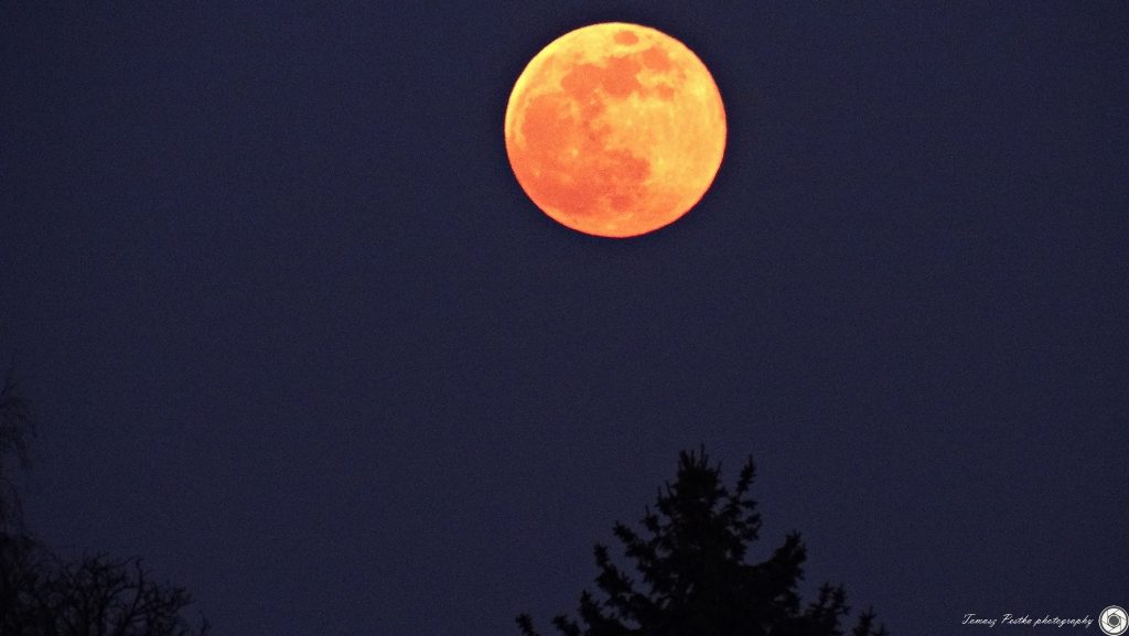 Śnieżny Superksiężyc pojawił się na niebie dzisiaj, 19 lutego. Księżyc w pełni można podziwiać od godz. 15:52 aż do jego zachodu, o godzinie 06:58 w środę, 20 lutego. fot:Tomasz Pestka photography