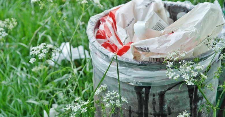 Tony gnijącego i śmierdzącego mięsa wyrzucona na środek pola! To mięso z chorych krów? (zdjęcie poglądowe - pixabay.com)