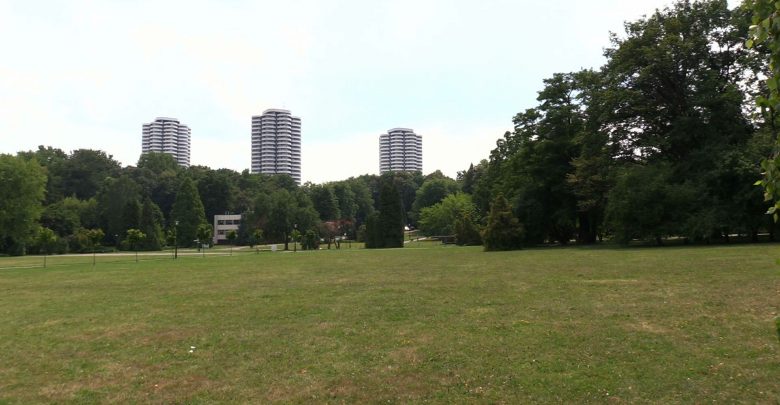 Czy Park Śląski otrzyma ochronę ustawową? Kolejne działania koalicji stowarzyszeń