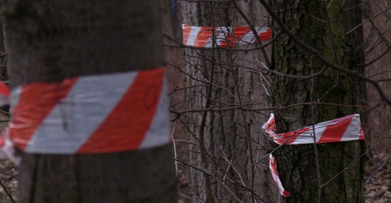 Chorzów: Pawilony zamiast drzew przy Parku Śląskim? Są kolejne petycje!