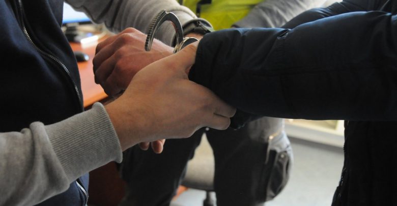 Śląskie: Dorobili się milionów na "hormonach i tabletkach na potencję". Śląski gang rozbity! (fot. Śląska Policja)