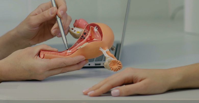 O tym jak powinno się diagnozować i leczyć raka jajnika, żeby dać chorym szansę, opowiadamy w programie Kierunek Zdrowie. Ta choroba to dla onkologów wyzwanie na miarę XXI wieku