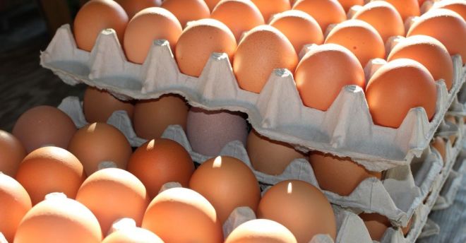 GIS znowu OSTRZEGA! Salmonella na jajkach!