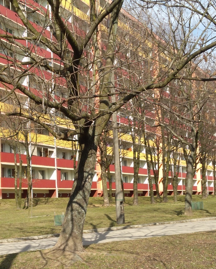 Ktoś niszczy słupy oświetleniowe w Żorach. Jest nagroda za wskazanie sprawców