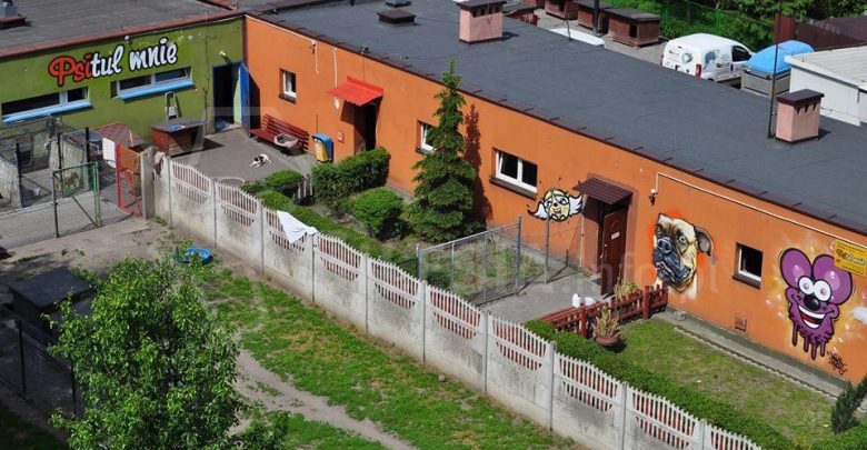 (fot. zabrze.com.pl)