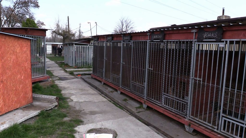 Schronisko w Mysłowicach będzie w nowym miejscu. Taką decyzję podjęły dziś władze miasta wraz z władzami schroniska