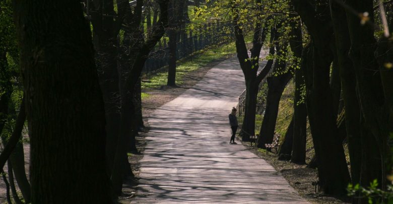 Mysłowice: Oczka wodne i romantyczny mostek. Wkrótce ruszy przebudowa Promenady!