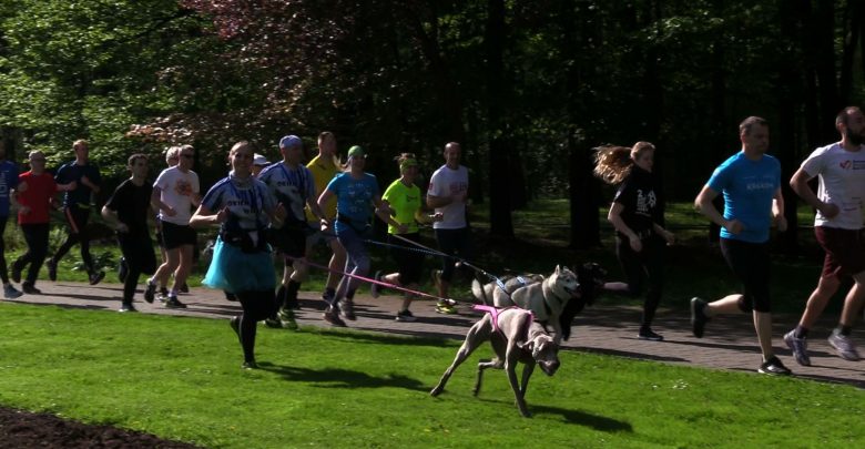 Parkrun obchodził w katowickim Parku Kościuszki swoje 3, urodziny. Rzecz jasna - biegowo!