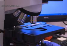 W tym roku miasto przeznaczyło na program in vitro 200 tys złotych. W sumie może w nim wziąć udział 41 par.