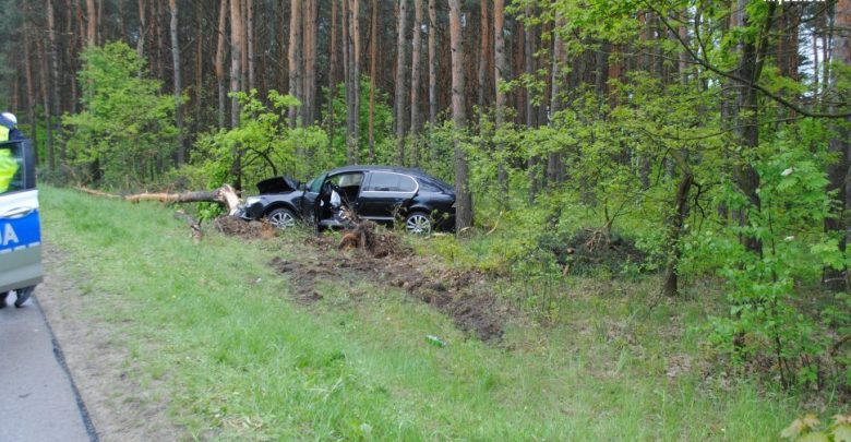 Śląskie: Podróż skodą superb zakończyli na drzewie. Nie chcieli przyznać się, kto prowadził, bo każdy z nich miał 3 promile (fot. Śląska Policja)