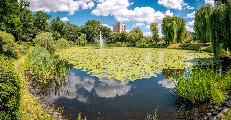 Chorzowskie stawy odzyskają blask. Miasto dostało dotacje na rewitalizację stawów (fot. UM Chorzów)